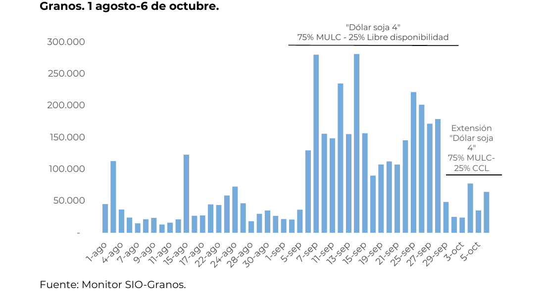 Gráfico 5